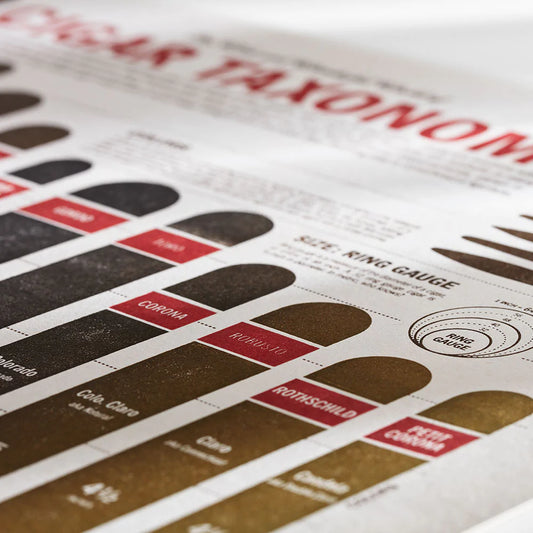 Cigar Taxonomy Print by 33 Books Co.