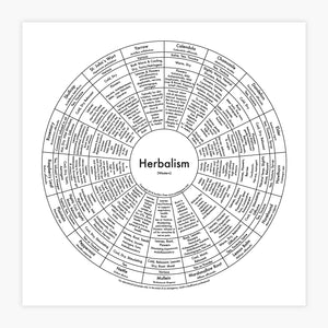Herbalism Chart Print by Archie's Press