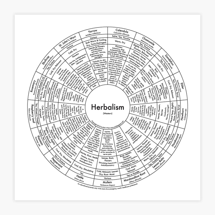 Herbalism Chart Print by Archie's Press