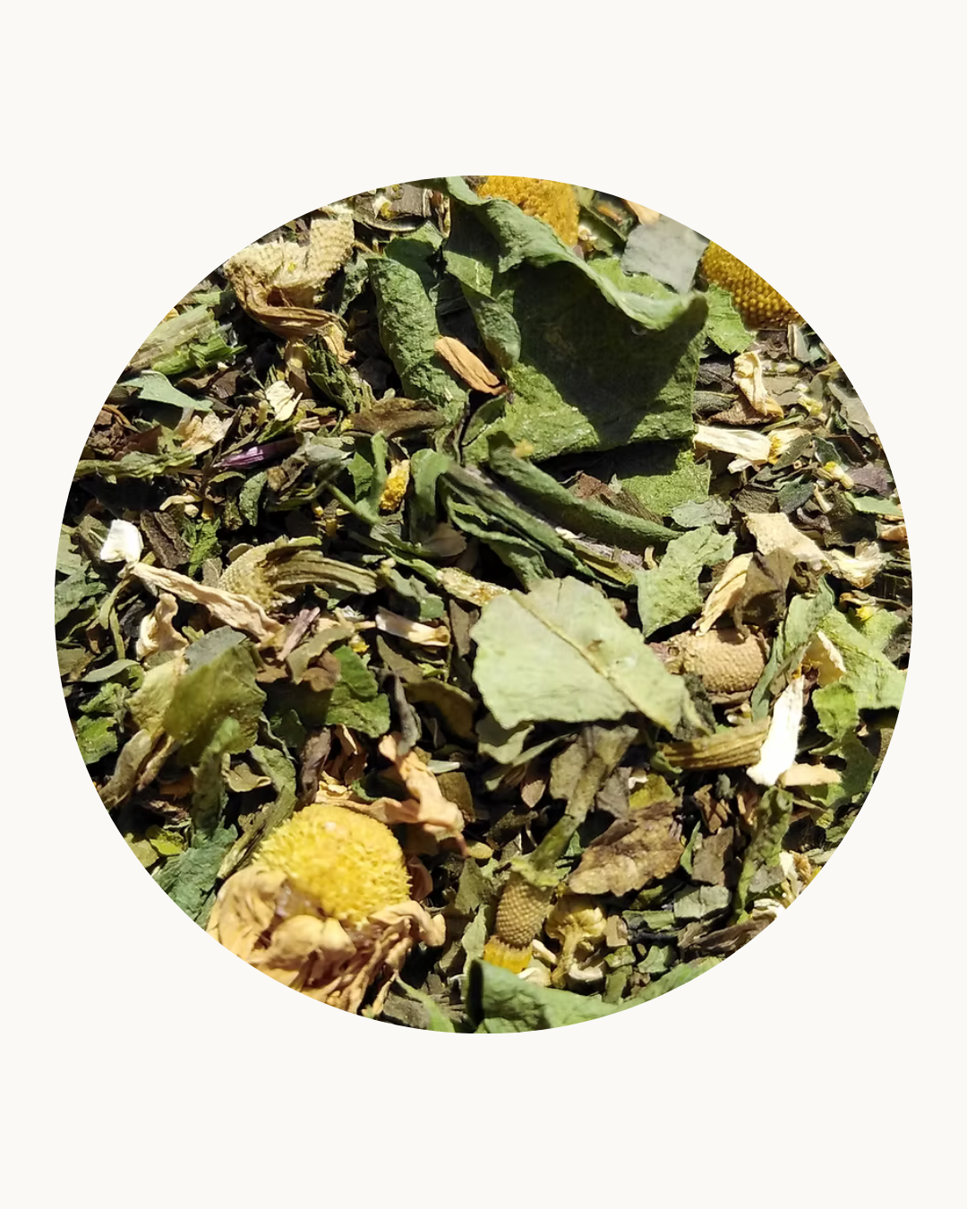 Dandy Mint by Inspired Earth Tea