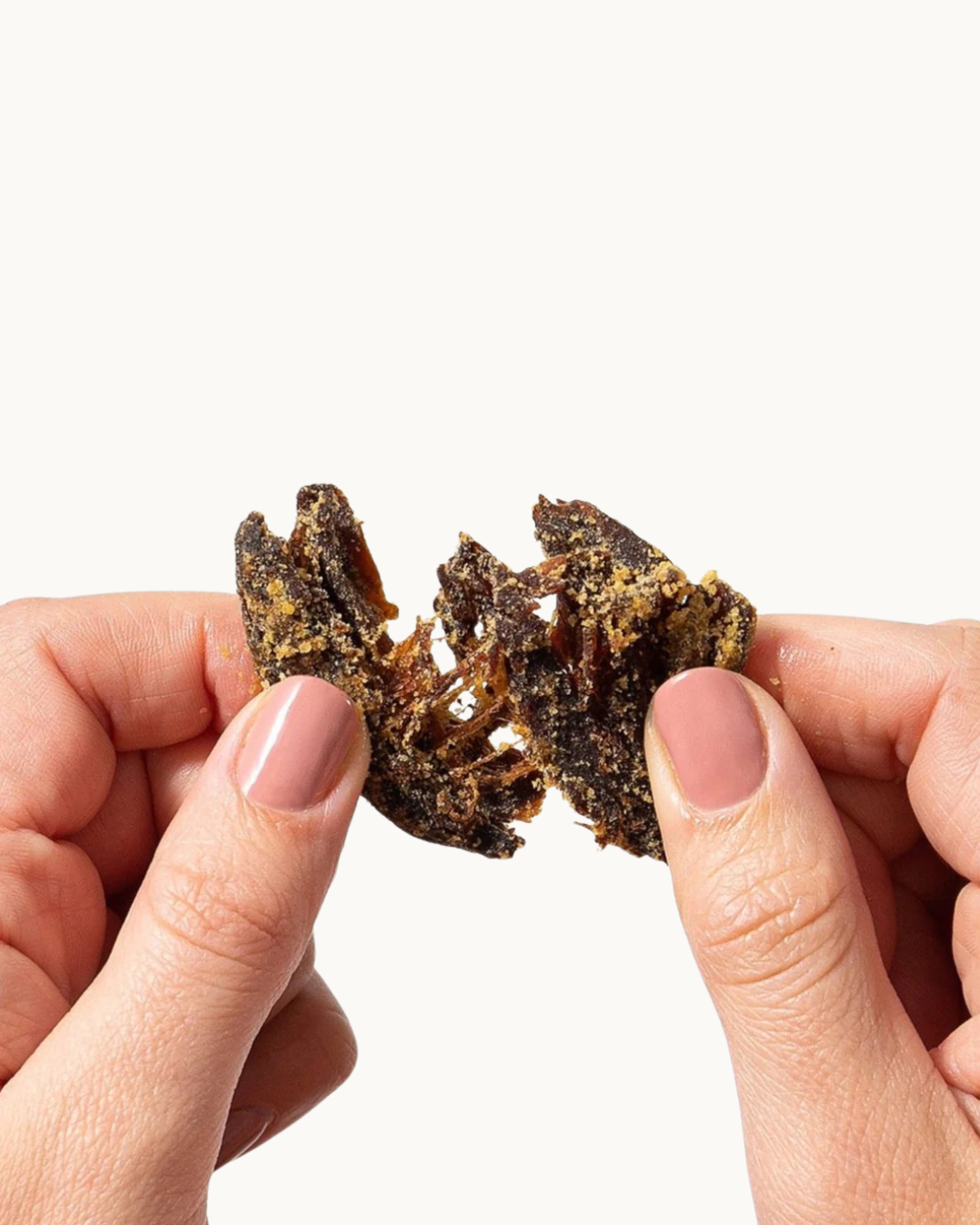 Teriyaki Mushroom Jerky by Pan's Mushroom Jerky