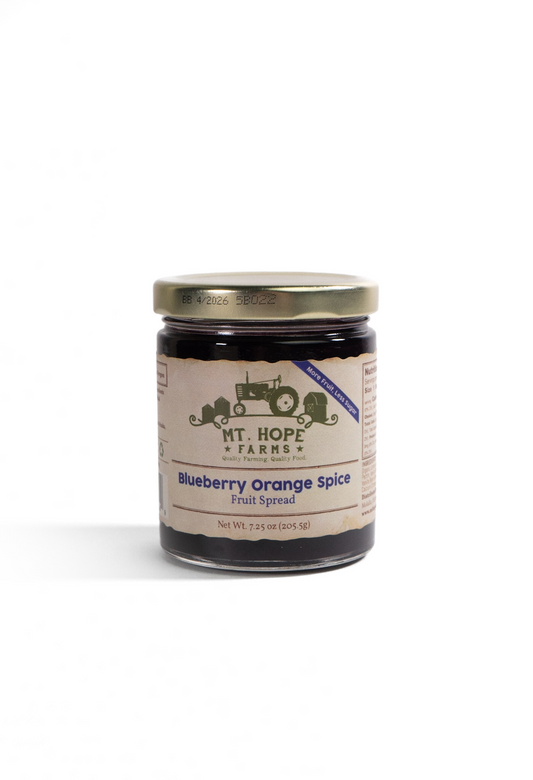 Blueberry Orange Spice Fruit Spread by Mt. Hope Farms