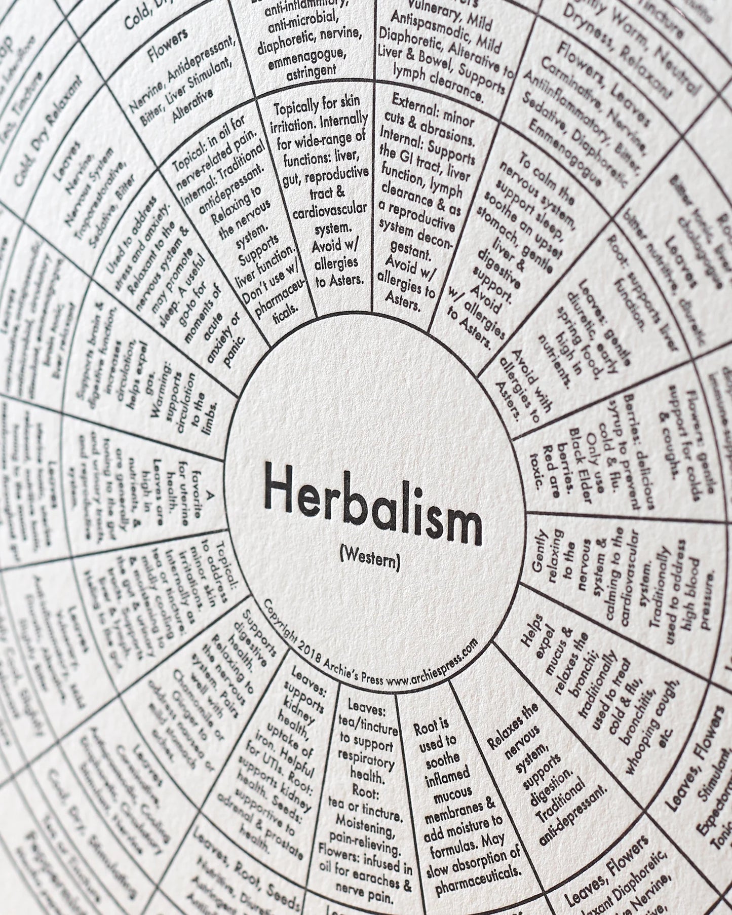 Herbalism Chart Print by Archie's Press