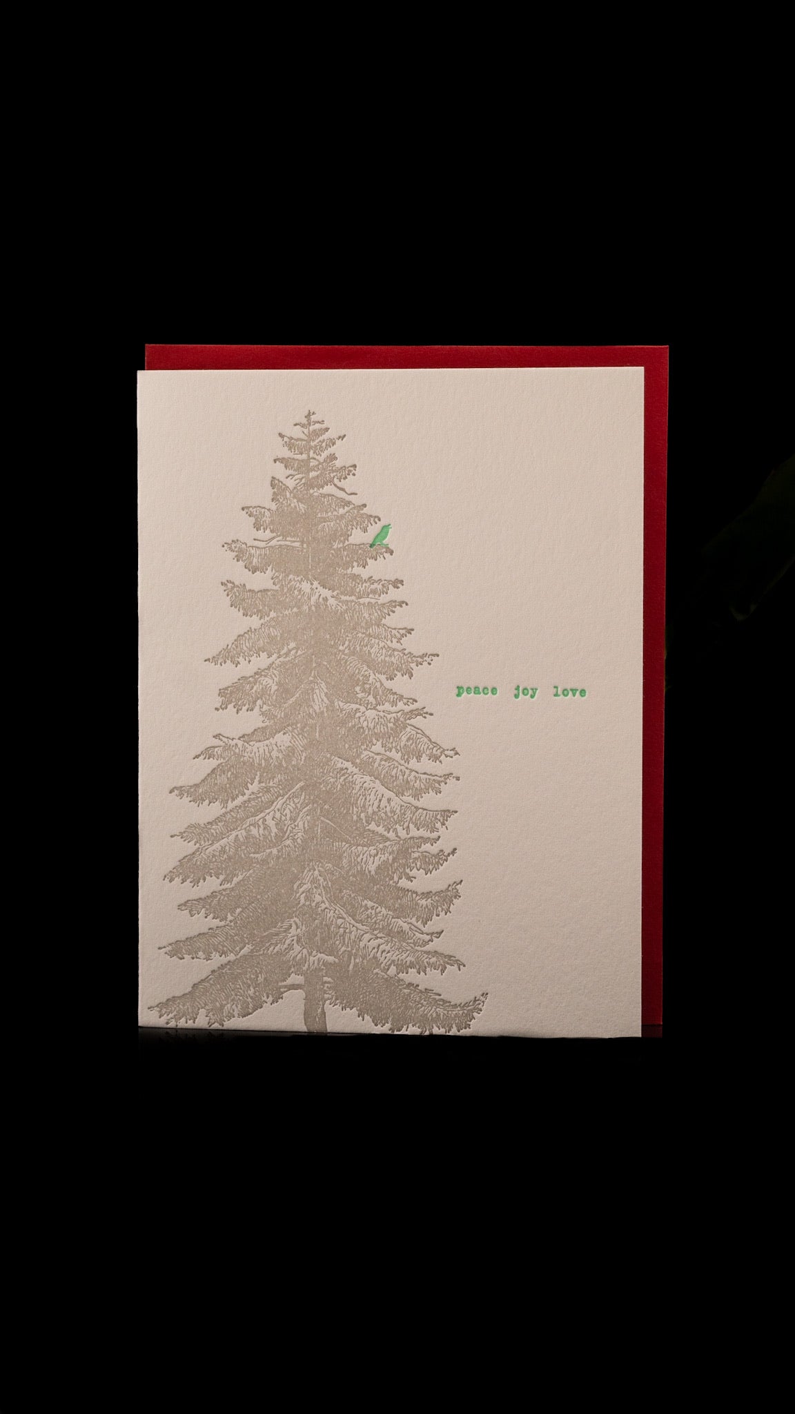 Norway Spruce Card (holiday) by Lark Press