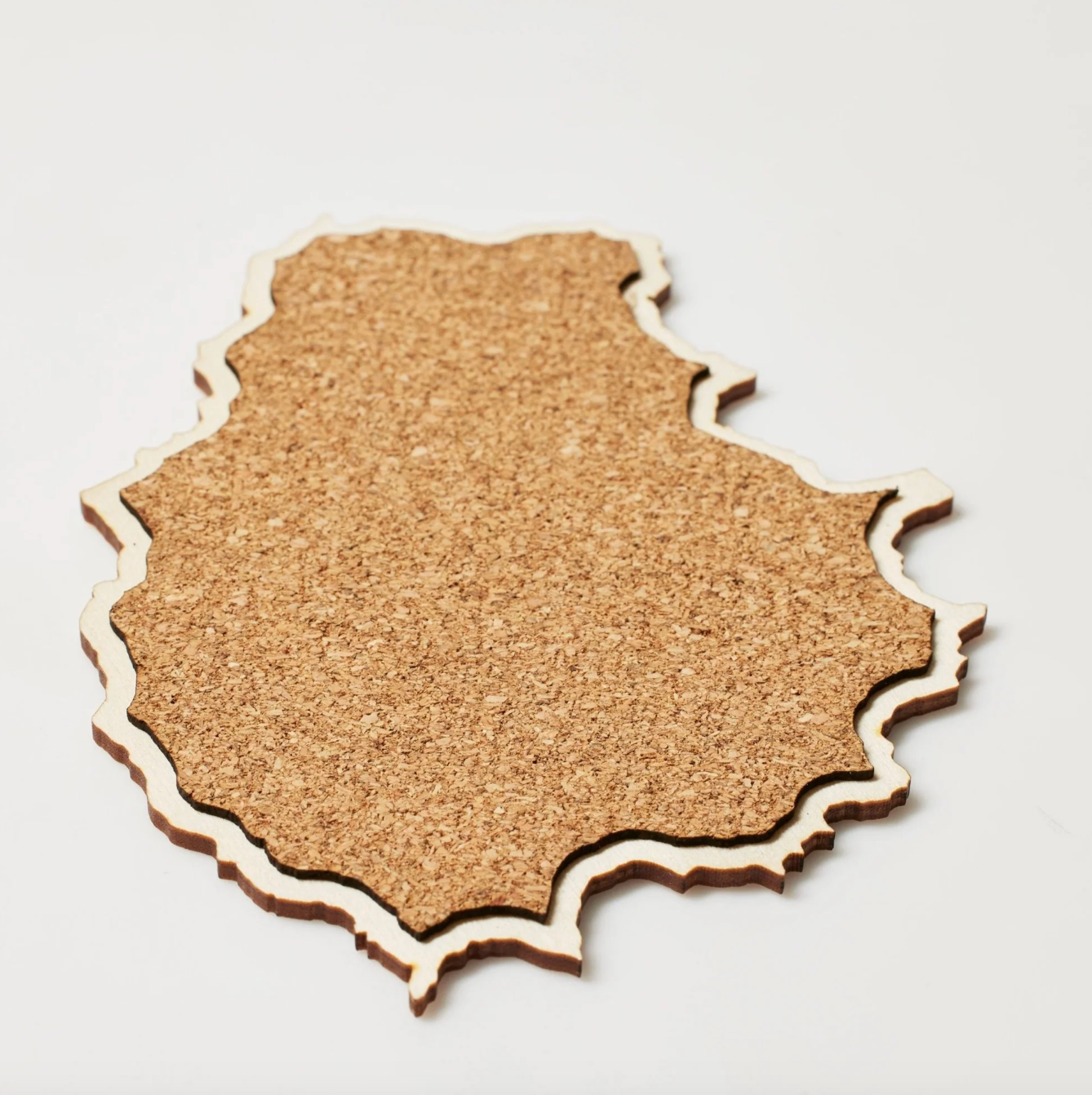 The Oregon Coaster Set by North Drinkware