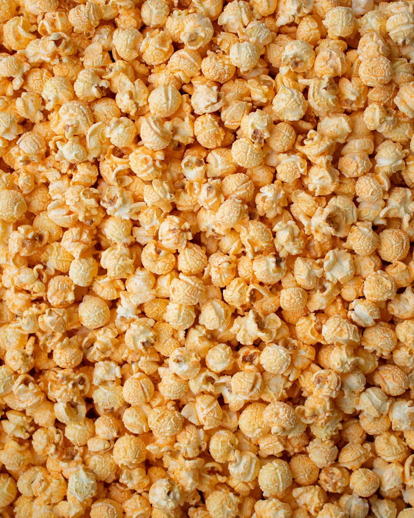 Cheesy Cheddar by Miss Hannah's Gourmet Popcorn