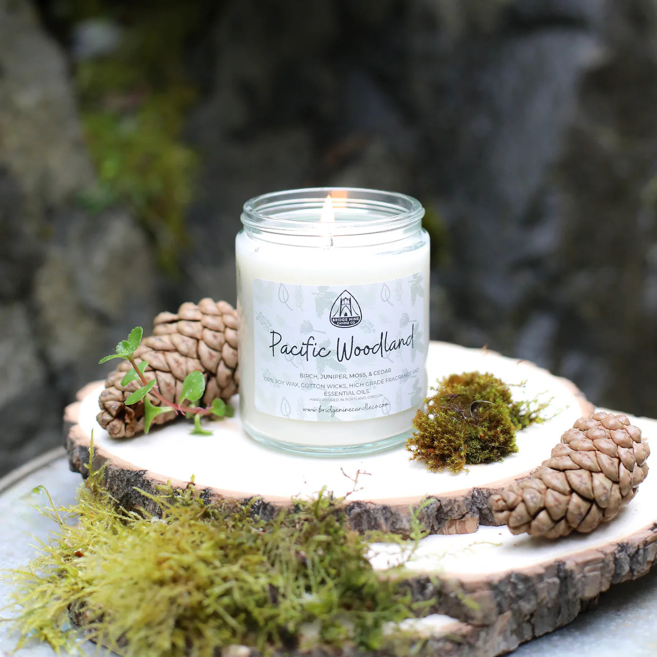 Large Jar by Bridge Nine Candle Co.