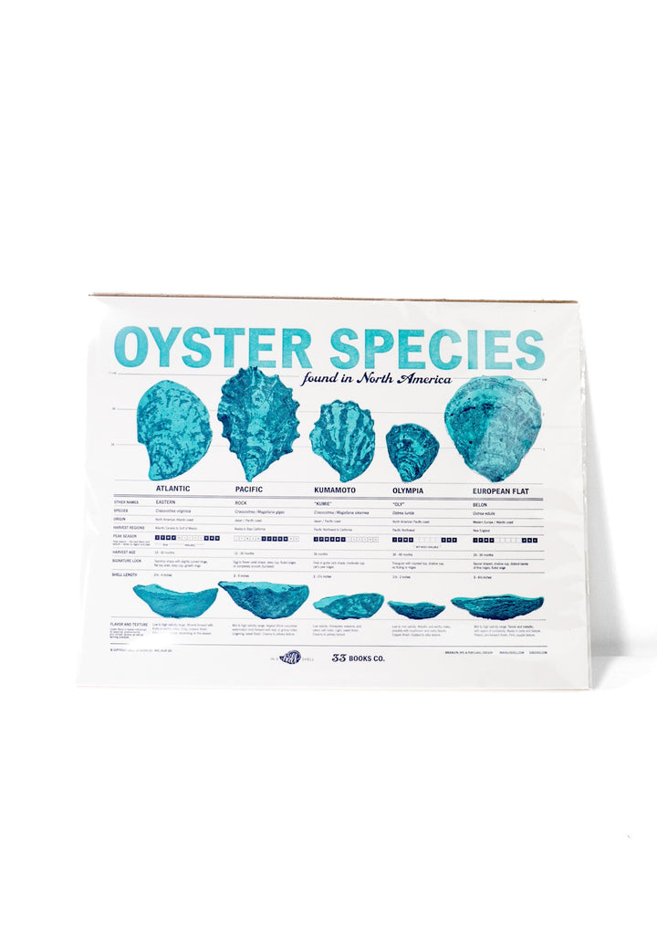Oyster Species Letterpress Print by 33 Books