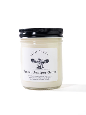 Frozen Juniper Grove 9oz Glas Jar Candle