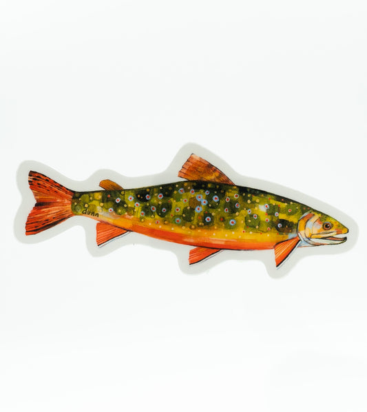 Brook Trout Sticker by Sheila Dunn