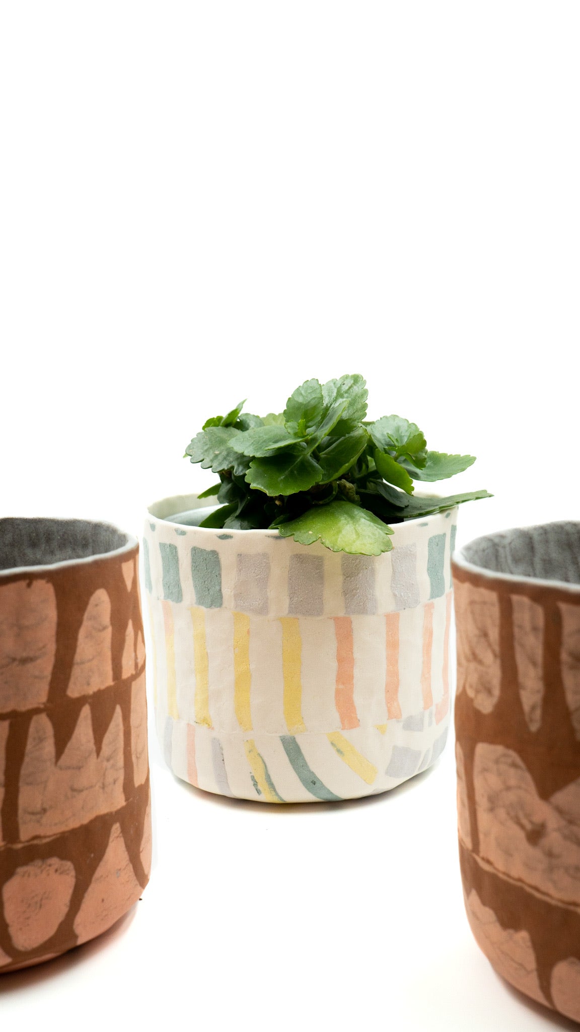 Small Tube Planter by Fun is Forever