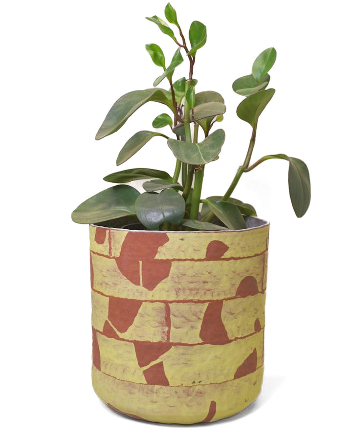Small Tube Planter by Fun is Forever