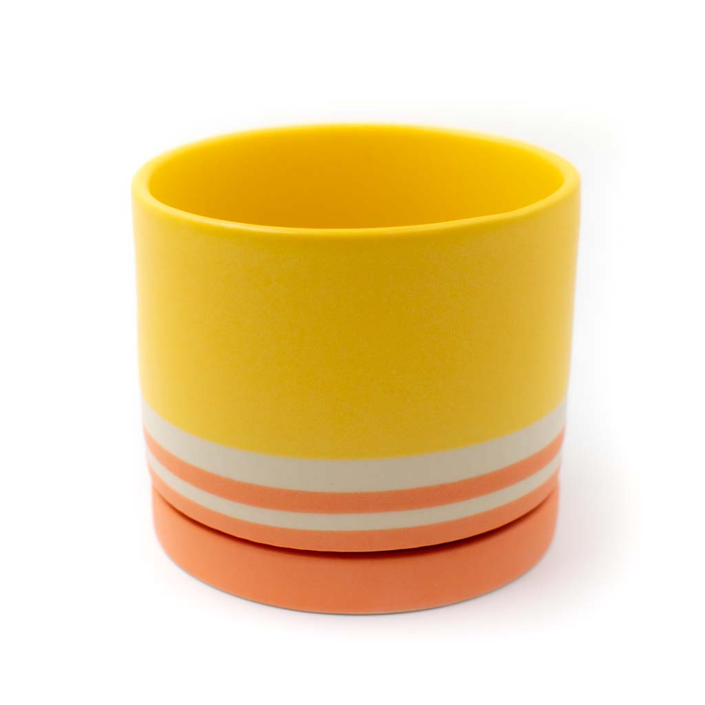Striped Planter by Theresa Arrison