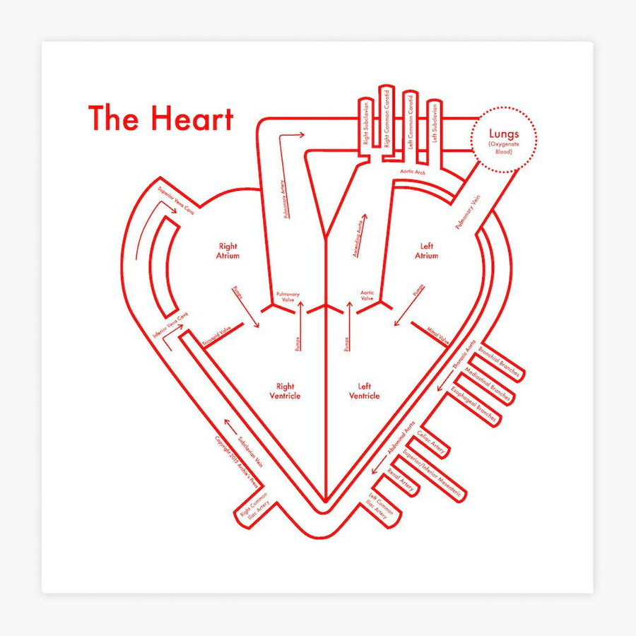 The Heart Print by Archie's Press
