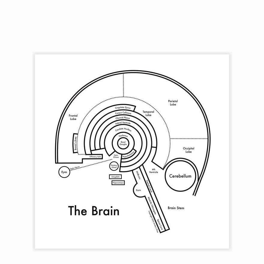 The Brain Print