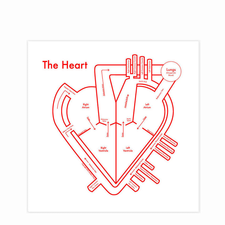 The Heart Print by Archie's Press