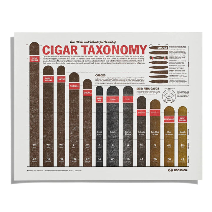 Cigar Taxonomy Print by 33 Books Co.